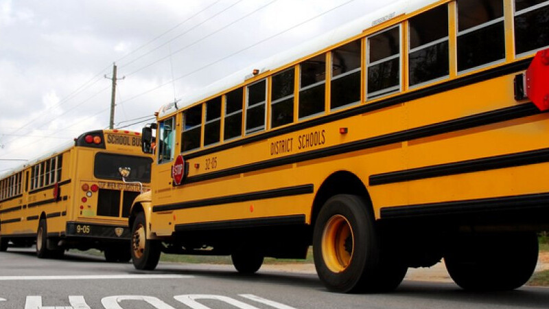 Patente D | Autoscuola Azzurra Cagliari